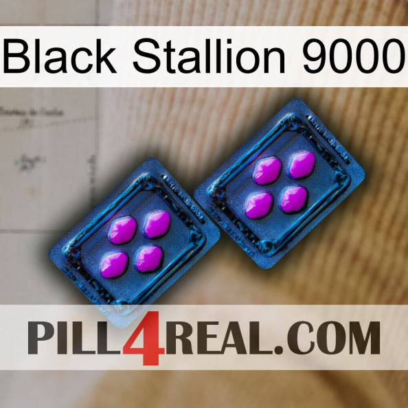 Black Stallion 9000 03.jpg